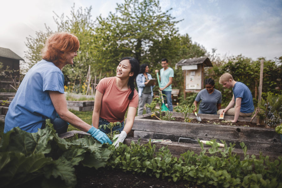 multi-ethnic groups working together in a community garden.